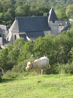 Vache et église St Sylvestre